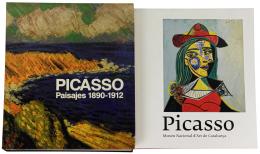 288  -  DOS LIBROS SOBRE PICASSO