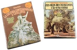 451  -  DOS LIBROS SOBRE CATALUÑA