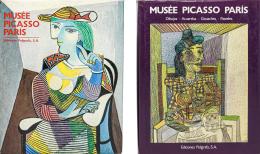 289  -  DOS LIBROS SOBRE PICASSO