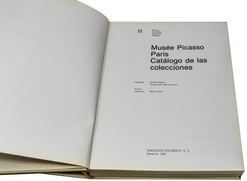 DOS LIBROS SOBRE PICASSO