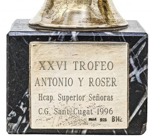 LOTE DE TROFEOS EN PLATA 