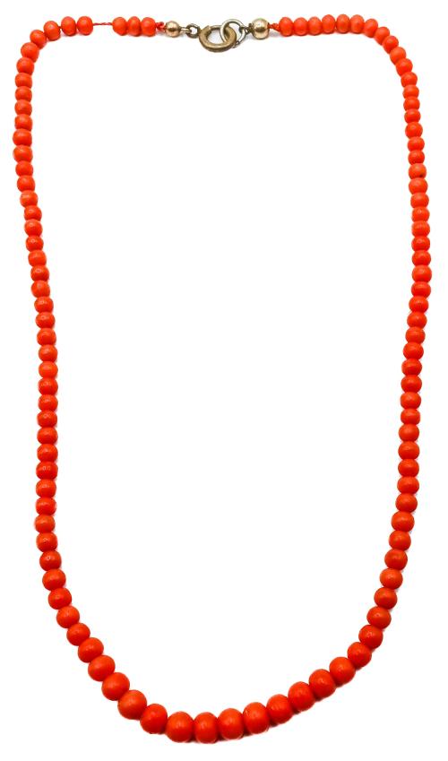 COLLAR DE CORAL